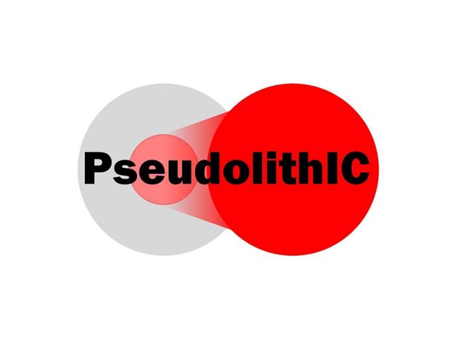 PseudolithIC Logo
