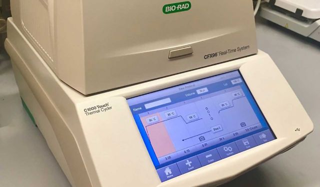 Bio-Rad CFX96 Touch RT-PCR
