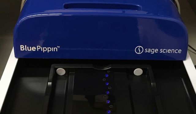 Sage Science BluePippin