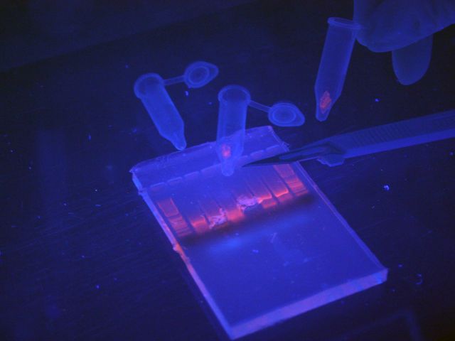 Biological Nanostructures Laboratory