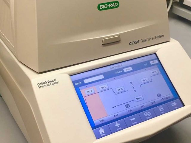 Bio-Rad CFX96 Touch RT-PCR