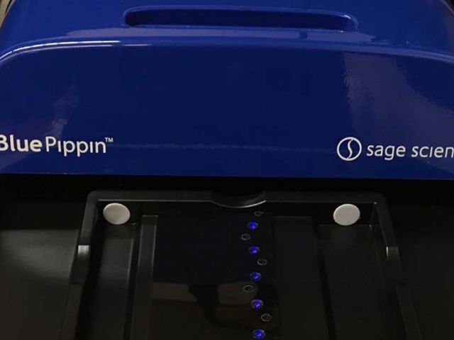 Sage Science BluePippin