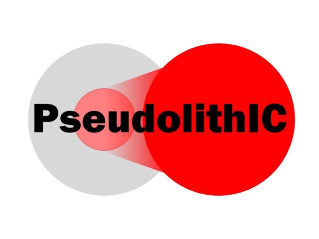 PseudolithIC Logo