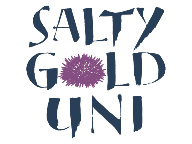 Salt Gold Uni Logo