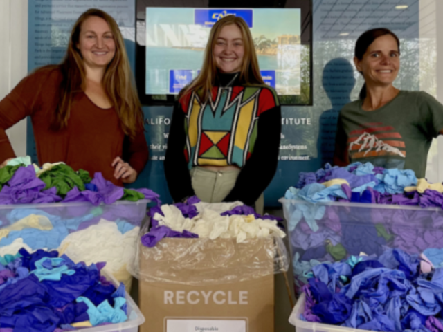 program team with gloves in recycling boxes