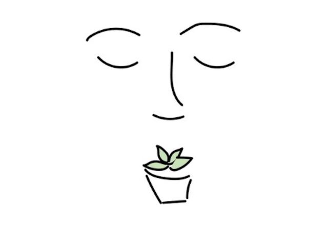 Senseory Plants